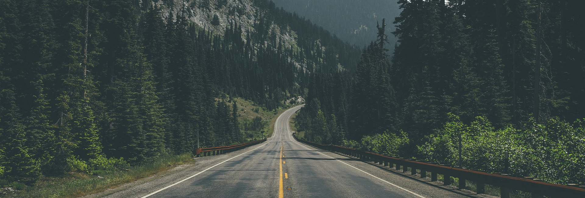 Wanderlust Chronicles: Tales from the Open Road